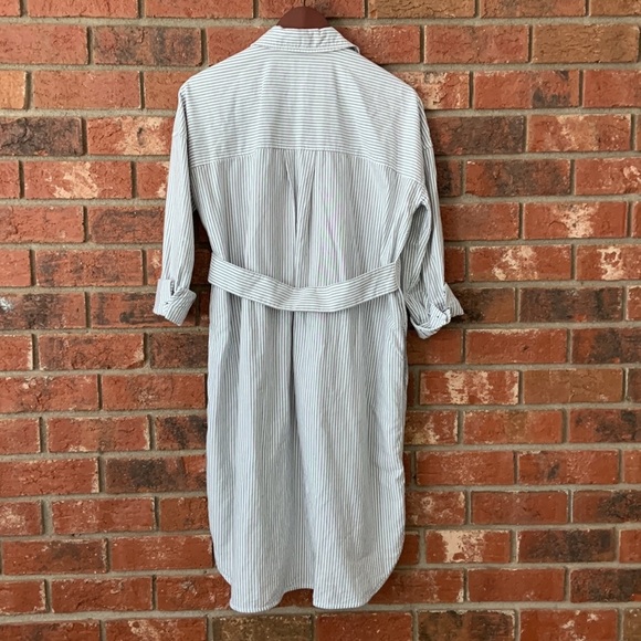 Everlane Oxford Stripe Belted Shirt Dress - Picture 14 of 14